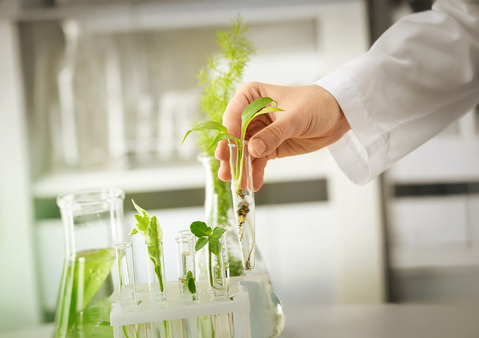 Depositphotos 250457150 XL