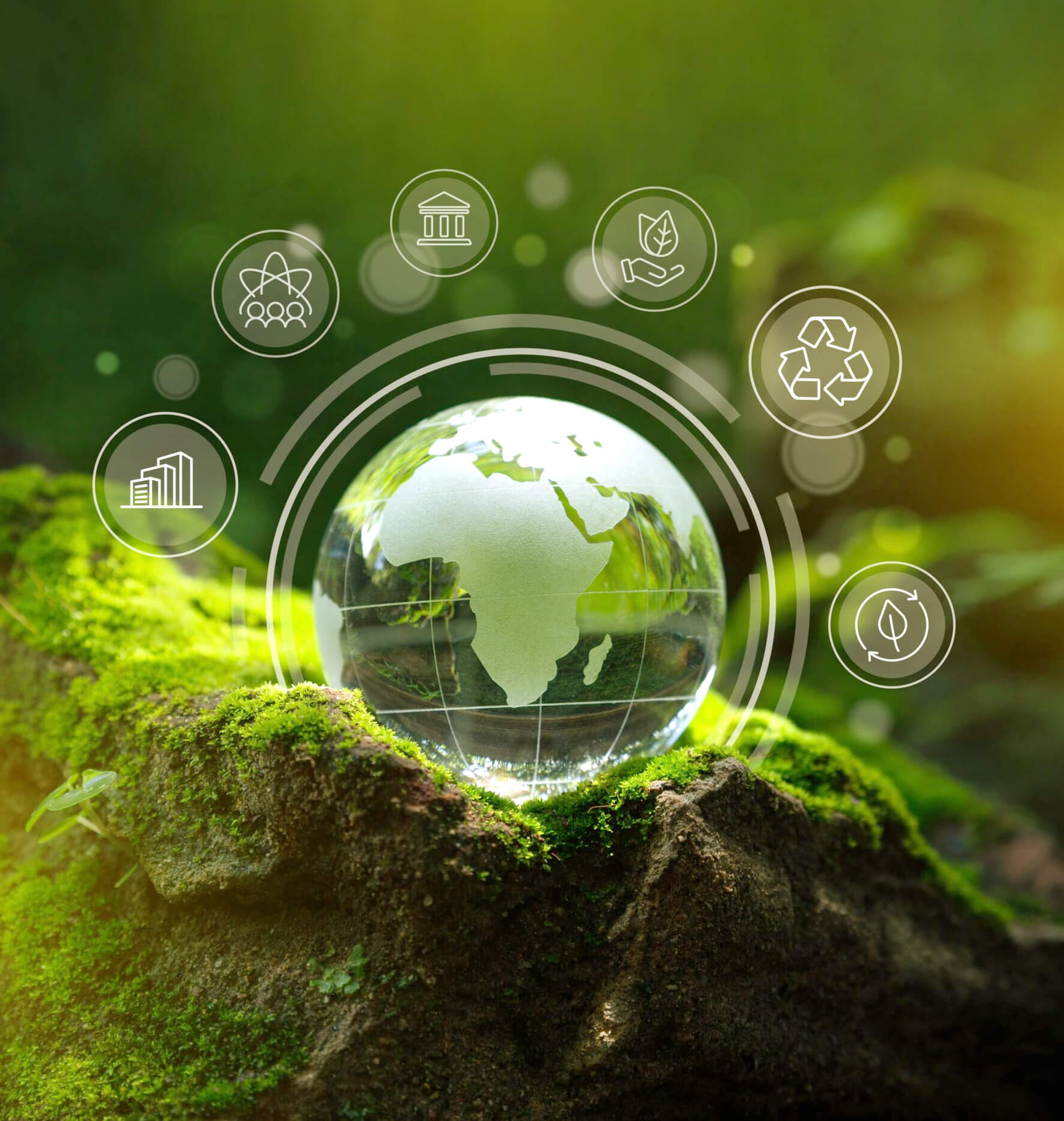 Sustentabilidade globo