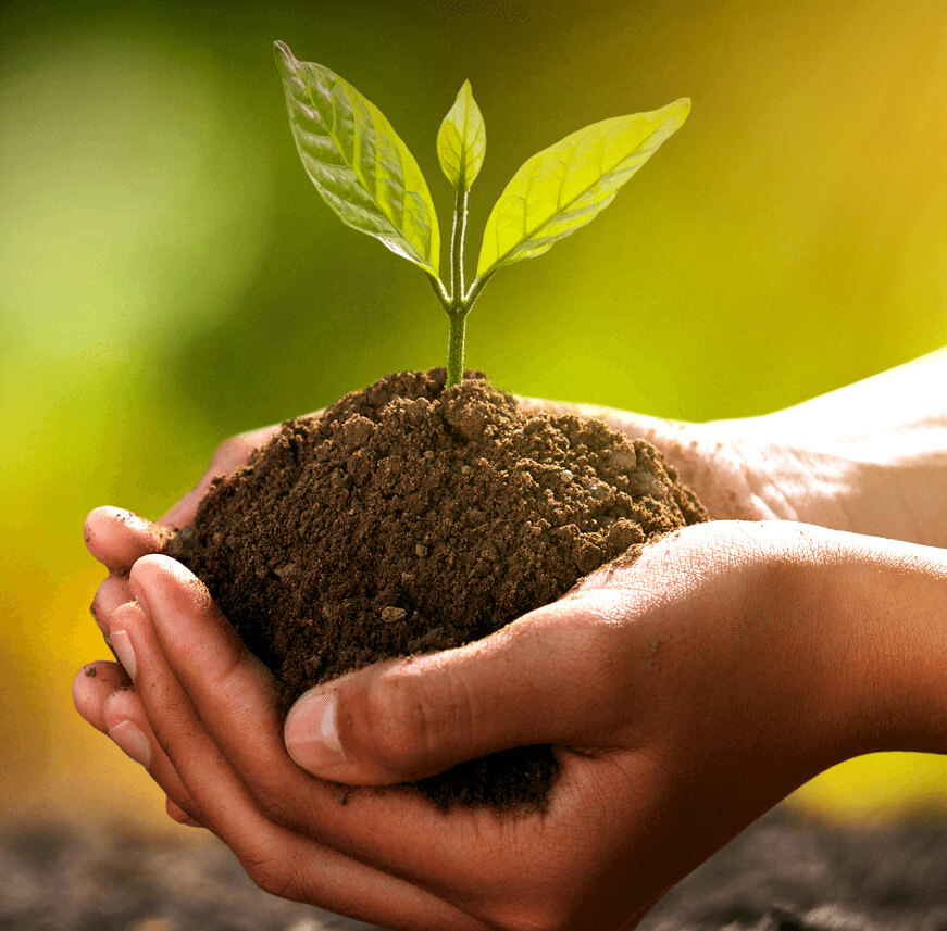 Sustentabilidade maos